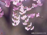 银川市兴庆区亲姐妹家居生活馆