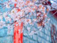 银川市兴庆区亲姐妹家居生活馆