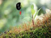 银川市兴庆区亲姐妹家居生活馆