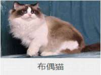 银川市兴庆区亲姐妹家居生活馆
