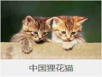 银川市兴庆区亲姐妹家居生活馆