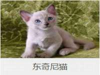 银川市兴庆区亲姐妹家居生活馆