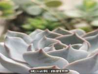 银川市兴庆区亲姐妹家居生活馆