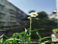 银川市兴庆区亲姐妹家居生活馆