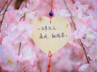 银川市兴庆区亲姐妹家居生活馆