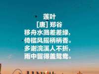银川市兴庆区亲姐妹家居生活馆