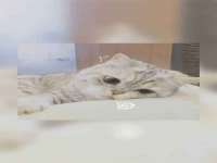 银川市兴庆区亲姐妹家居生活馆
