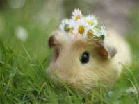 银川市兴庆区亲姐妹家居生活馆