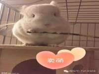 银川市兴庆区亲姐妹家居生活馆