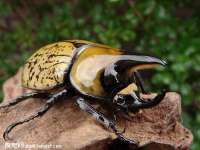 银川市兴庆区亲姐妹家居生活馆