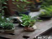 银川市兴庆区亲姐妹家居生活馆