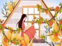 银川市兴庆区亲姐妹家居生活馆