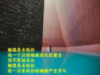 银川市兴庆区亲姐妹家居生活馆