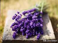 银川市兴庆区亲姐妹家居生活馆